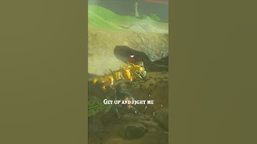 How long does it take to kill a gold bokoblin only using korok leafs? #breathofthewild
