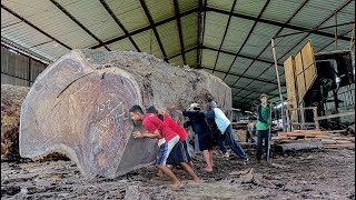 The most expensive and largest wood in the world! Price 3 billion Antique wood from Madiun sawmill