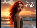 Alan Walker Style X Echo Alpha EDM | Night Trance Vocal Music Mix