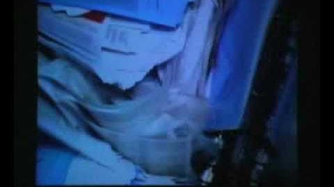 HV SHRED ON THE LOCAL NEWS