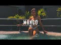 Free dancehall type beat mango tropical good vibes beat instrumental