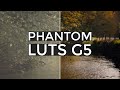 Phantom LUTs G5 Review & Competition - Better Than Ever!