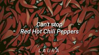 Cant Stop Red Hot Chili Peppers s