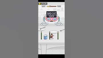 Hide And Seek : Cat 🐈 Escape Game | Level-9657 | Satisfying Gameplay #games #shorts #hideandseek