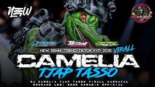 DJ CAMELIA TJAP TASSO VIRALL KARNAVAL GONDANG LEGI 2025 || DDMUSIC OFFICIAL