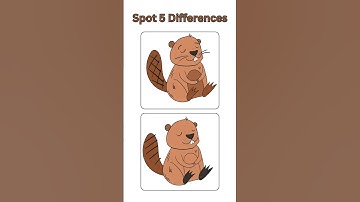 Spot 5 Differences#411