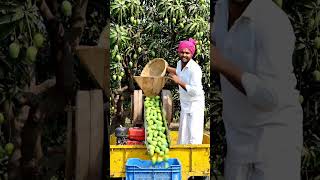 देशी जुगाड 🙂🌿#multimedia#desijugaad#shortviral#jcbvideo