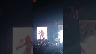 Aleyna Tilki Konser Mersin