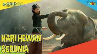 Fakta Menarik - Memperingati Hari Hewan Sedunia