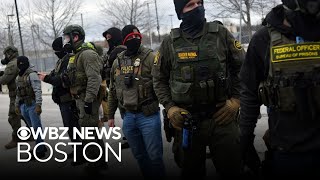 Famous Minnesota family got stuck in their car between ICE agents and protesters. Then came the tear gas. Profile