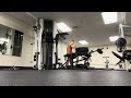 Fall/Winter Cut Day 1 Chest and Back 