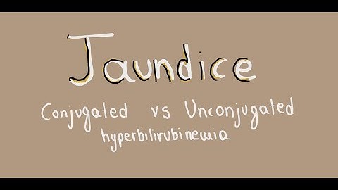 Jaudice: Conjugated vs Unconjugated Hyperbilirubinemia Pathogenesis