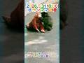5.31オランママ抱きしめるパンチくん orangutan mom appearance