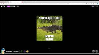 Quizizz gameplay - part 4