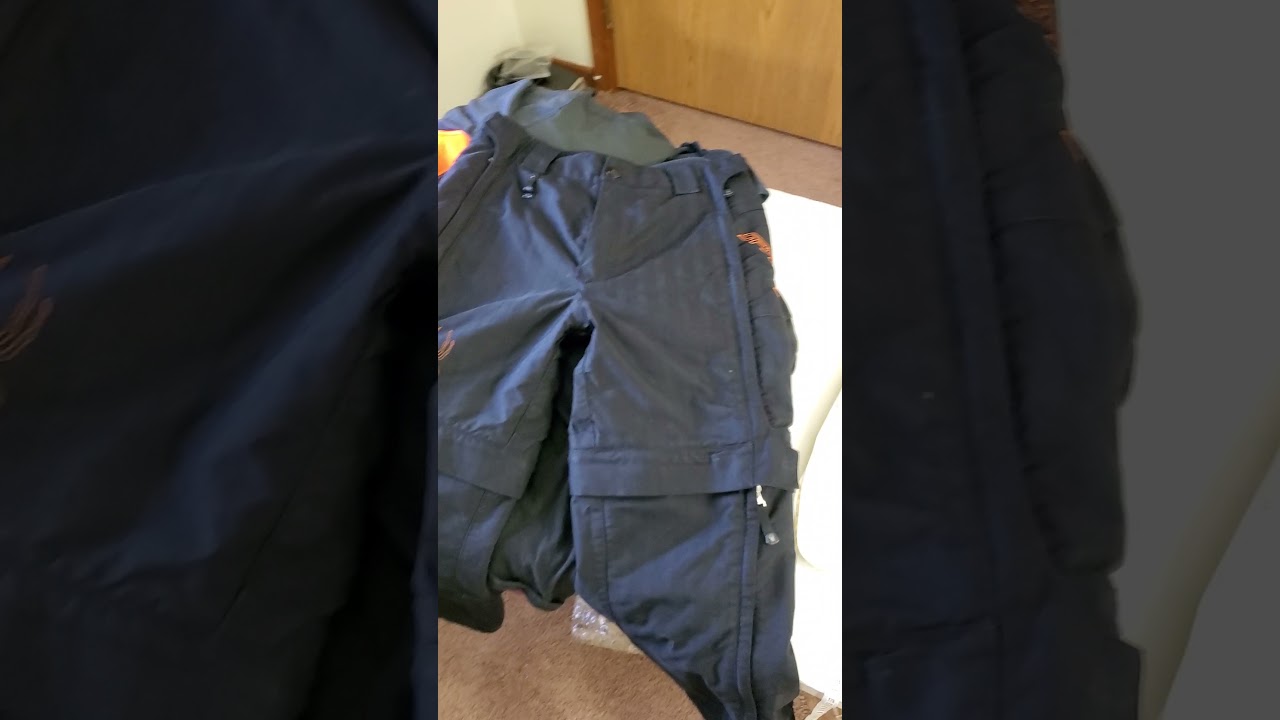 Luck Dog Nashua NH Quick Ebay Thrift Haul Saturday