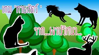 เกมทายสัตว์ จาก...เงาปริศนา... screenshot 4