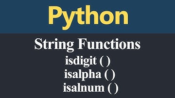 isdigit isalpha and isalnum String Functions in Python (Hindi)