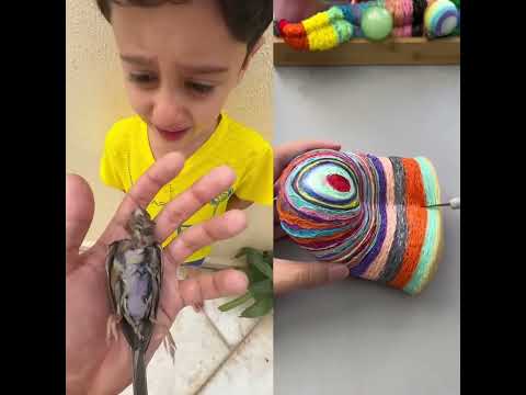 ليش مجودي عم يبكي مجودي  نت ضعيف