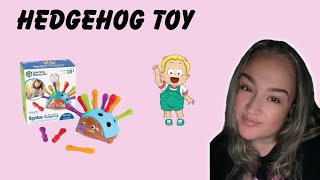 Honest Review of the Hedgehog Toy