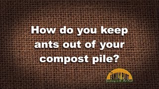 Q&A – How do you keep ants out of your compost pile?