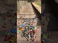 Which is Most Satisfying