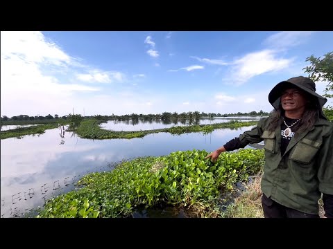 IKN HARI IN‼️FUNGSIONAL TOLIKN MEMBLUDAK HINGGA TOL BALSAM!H+1 NATAL ANTUSIAS MASYARAKAT MANCANEGARA