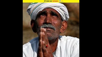 गो माता का चमत्कार सच्ची घटना 😱🙏 #shorts