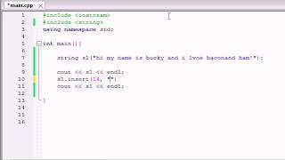 Celebrity Buckys C++ Programming Tutorials - 73 - Final Video for this Series! Wealth