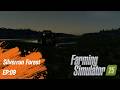 Let's Expand Our Farm!!! Silverrunforest Ep 09 Farming Simulator 25
