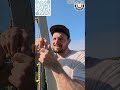 Reolink Solar Floodlight Einfache Installation, Top Features!