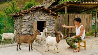 The soldier took care of the baby while building a goat shed to start a new life. screenshot 1