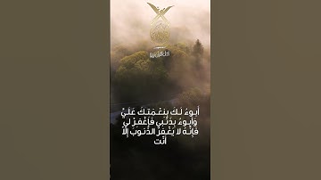 أدعية من أذكار الصباح  بصوت القارئ محمد رشيد كردي Quran قران كريم #quran #قرآن