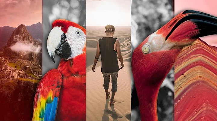 Volunteer in Peru | The Great Projects