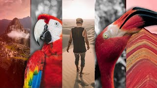 Volunteer in Peru | The Great Projects