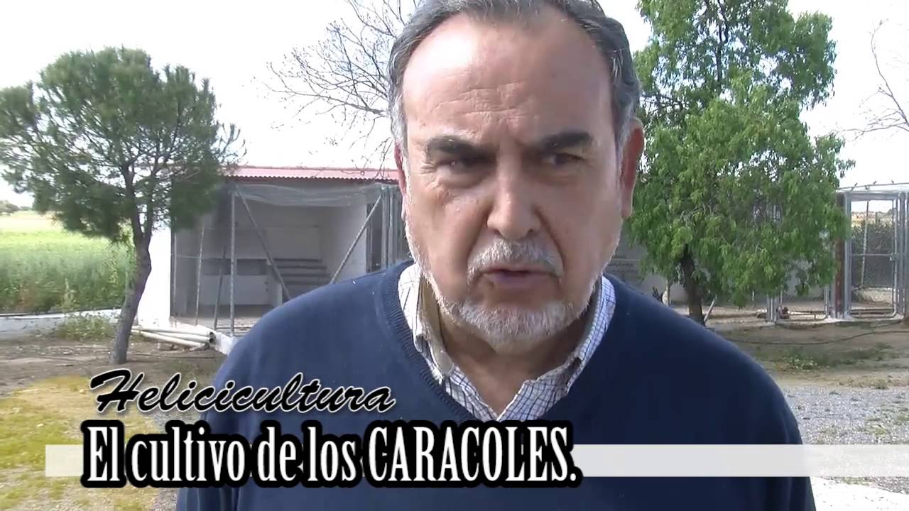 LAS ACEÑAS Helicicultura VL parte 1 de 2 ifapa hinojosa