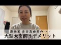 #748 大型犬を飼うデメリット