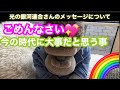 光の銀河連合さんからのメッセージ　ごめんなさい💖今の時代に大切だと思う事