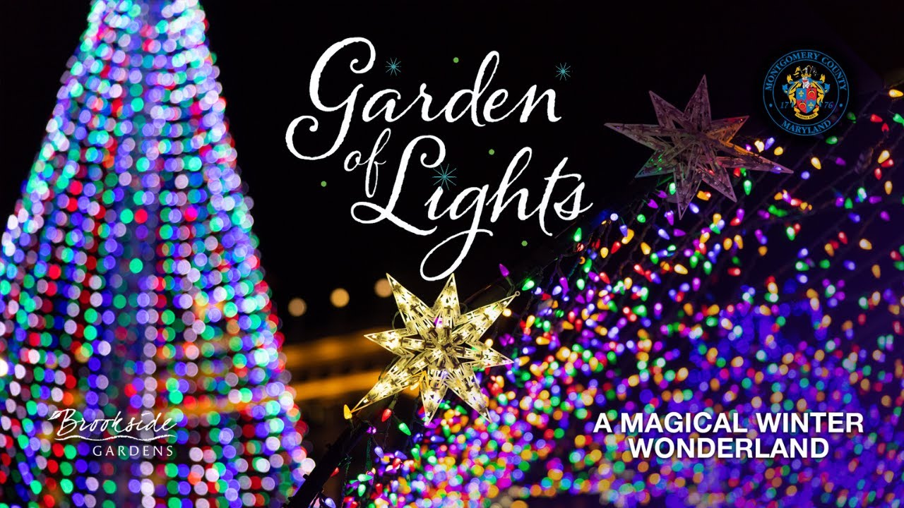 Garden of Lights Maryland: A Magical Winter Wonderland - YouTube