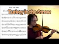 Turkey in the Straw - violin