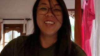 A Bali Roach On Your Mosquito Net