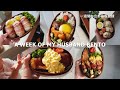 [A WEEK OF HUSBAND BENTOS #5] by wife