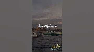 آيه الكرسى #سورة_البقرة #القرآن_الكريم #احمد_العجمي #اكسبلور#راحة_نفسية #لايك #تلاوات #تلاوة_خاشعة