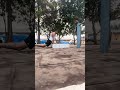 Daily workout 🏋️ sapate practice