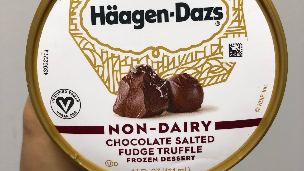HäagenDazs CHOCOLATE SALTED FUDGE TRUFFLE Vegan Ice Cream Review YouTube