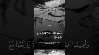 Surah Albaqarah Ayat 43