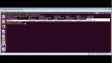 Python How to execute external commands