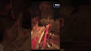 Crimson Desert INSANE Secrets 👀