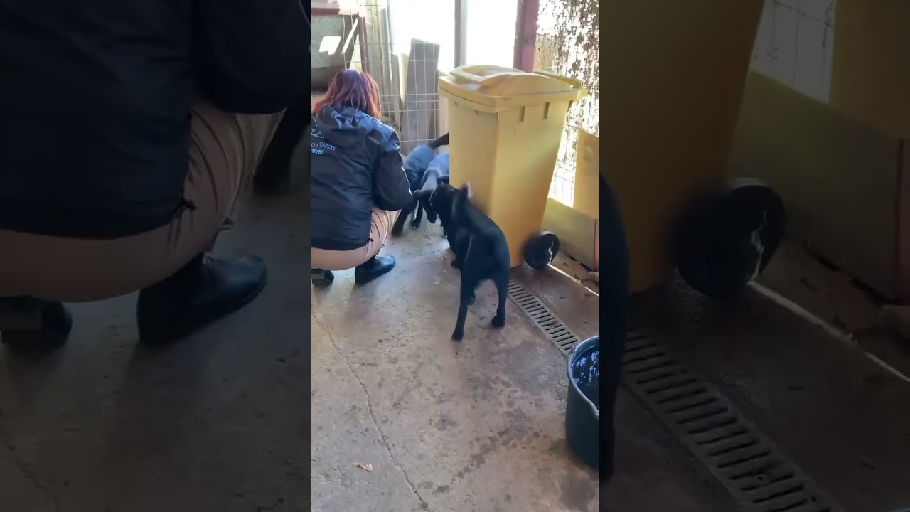 Refuge de Luminita - Neptune, Saturne, Eridan, Cephee (Nov23)