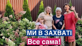 72 роки! А вона саджає гортензії, вирощує 220 хост, хвойні, троянди