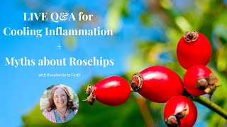 Live QA Class   Short Presentation on Rosehips